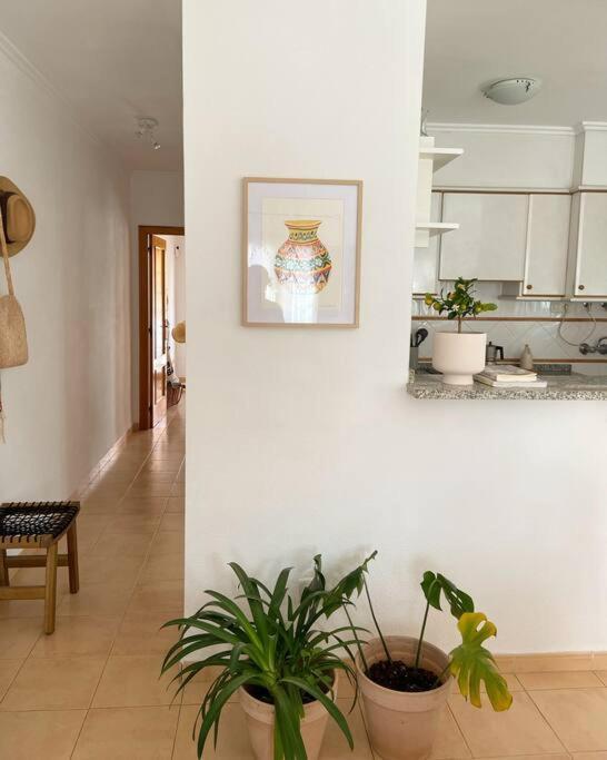 Apartment Mediterraneo Entre Vinedos Jesus Pobre